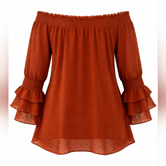C Est. 1946 2X Rust Smocked Neck Sheer Blouse | Ruffle Sleeve Romantic Top - Picture 3 of 5